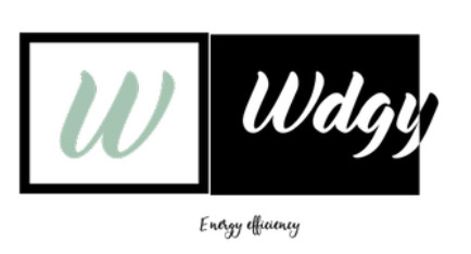 WDGY Logo